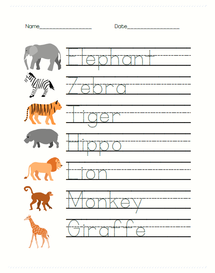 safari worksheets preschool